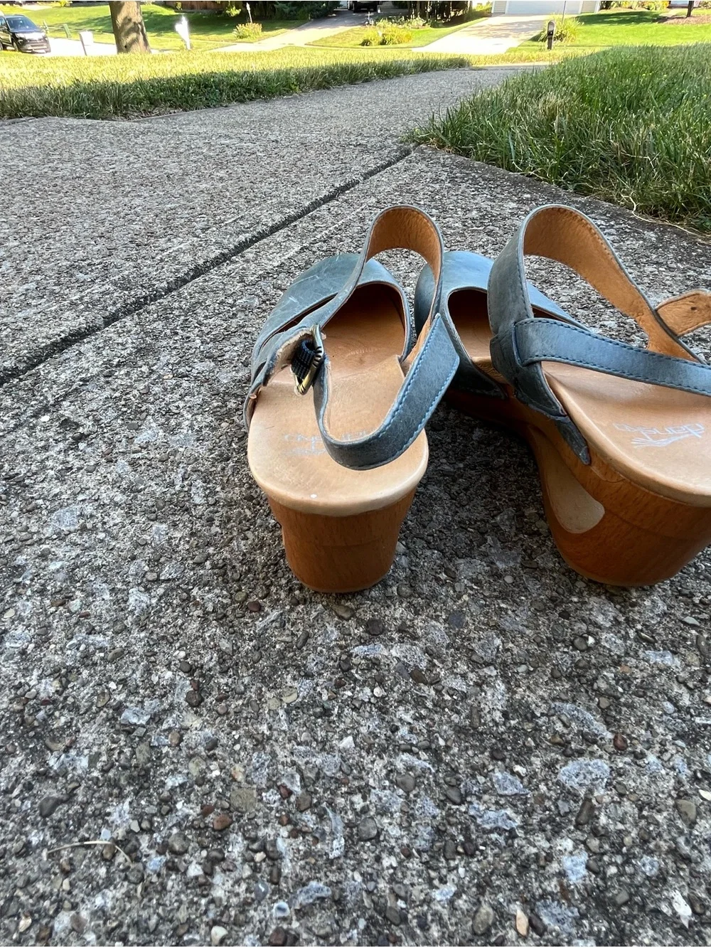 Dansko Slate Blue Leather Mary Jane Slingback Wedges